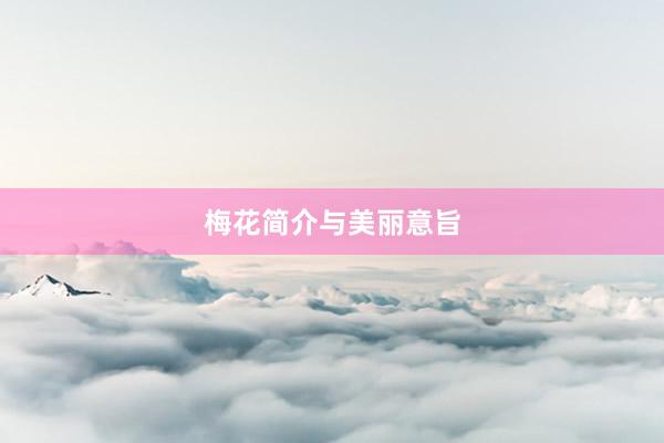 梅花简介与美丽意旨