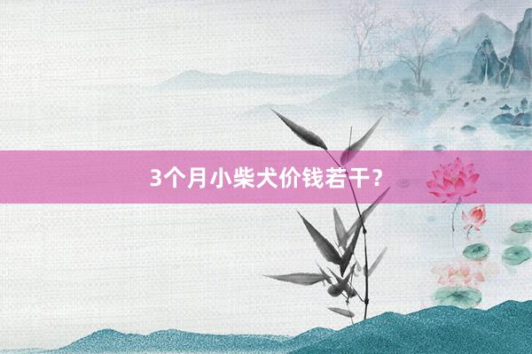 3个月小柴犬价钱若干？