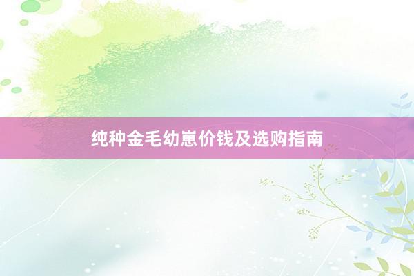 纯种金毛幼崽价钱及选购指南
