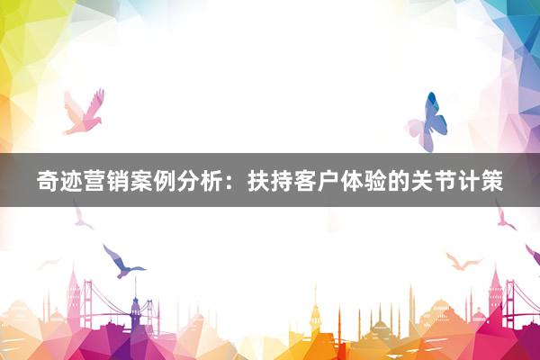 奇迹营销案例分析：扶持客户体验的关节计策