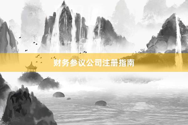 财务参议公司注册指南